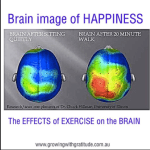 Screen Shot 2016-08-13 at 5.34.26 PM