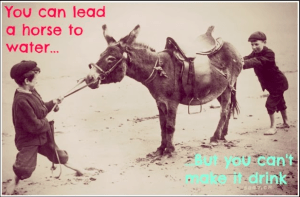 screen-shot-2016-10-03-at-1-15-38-pm